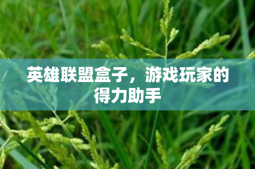 英雄联盟盒子，游戏玩家的得力助手