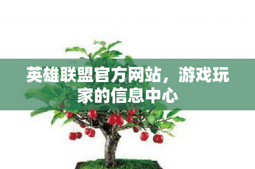 英雄联盟官方网站，游戏玩家的信息中心