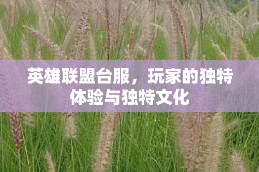 英雄联盟台服，玩家的独特体验与独特文化