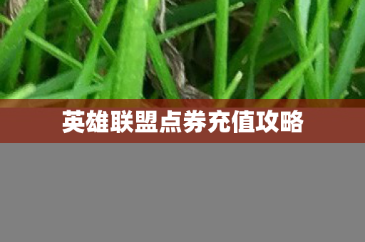 英雄联盟点券充值攻略