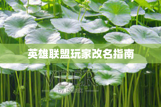 英雄联盟玩家改名指南