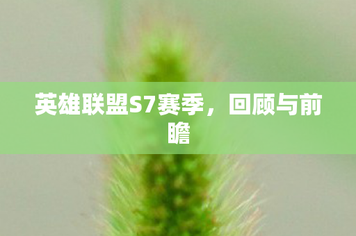 英雄联盟S7赛季，回顾与前瞻