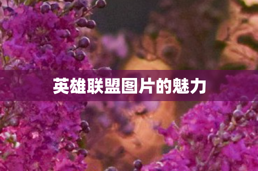 英雄联盟图片的魅力