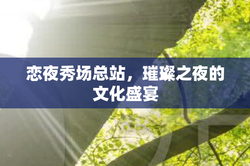 恋夜秀场总站，璀璨之夜的文化盛宴