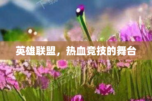 英雄联盟,热血竞技的舞台 英雄联盟,热血竞技的舞台