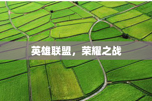 英雄联盟，荣耀之战