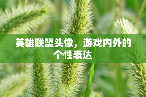 英雄联盟头像，游戏内外的个性表达