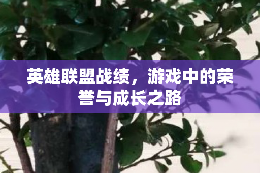 英雄联盟战绩,游戏中的荣誉与成长之路 英雄联盟战绩,游戏中的荣誉与成长之路
