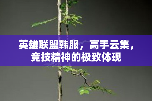 英雄联盟韩服，高手云集，竞技精神的极致体现