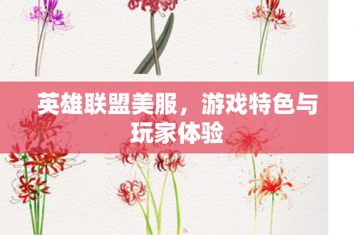 英雄联盟美服,游戏特色与玩家体验 英雄联盟美服,游戏特色与玩家体验