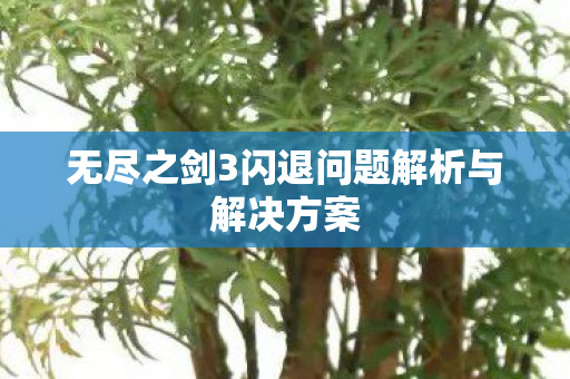 无尽之剑3闪退问题解析与解决方案