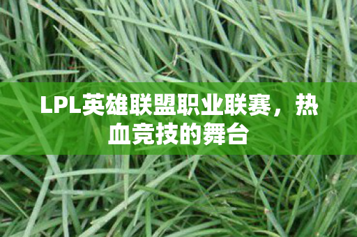LPL英雄联盟职业联赛，热血竞技的舞台
