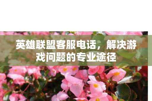 英雄联盟客服电话，解决游戏问题的专业途径