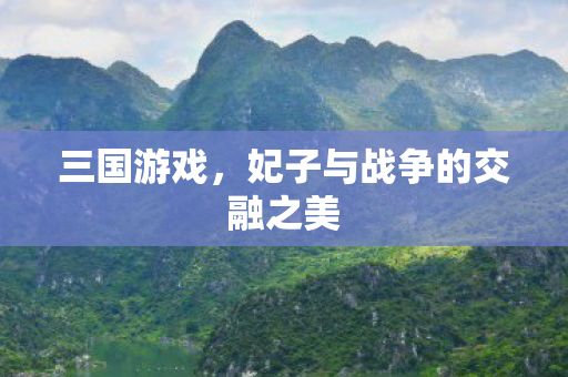 三国游戏,妃子与战争的交融之美 三国游戏,妃子与战争的交融之美