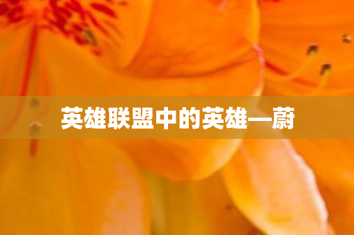 英雄联盟中的英雄—蔚 英雄联盟中的英雄—蔚