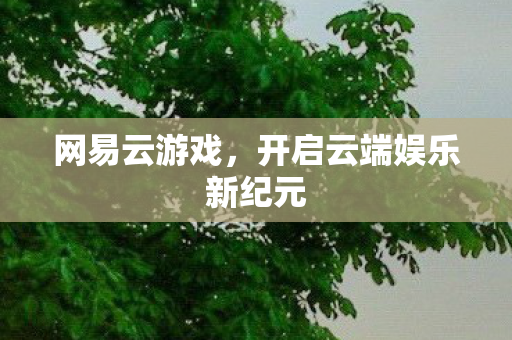 网易云游戏,开启云端娱乐新纪元 网易云游戏,开启云端娱乐新纪元