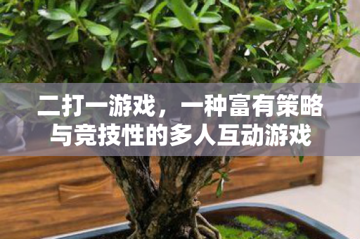 二打一游戏,一种富有策略与竞技性的多人互动游戏 二打一游戏,一种富有策略与竞技性的多人互动游戏