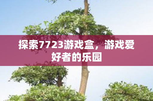 探索7723游戏盒，游戏爱好者的乐园
