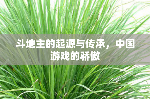 斗地主的起源与传承,中国游戏的骄傲 斗地主的起源与传承,中国游戏的骄傲