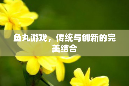 鱼丸游戏，传统与创新的完美结合