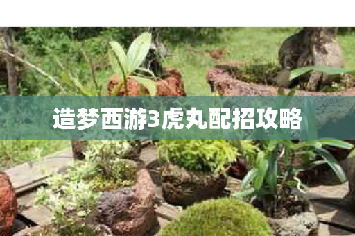 造梦西游3虎丸配招攻略 造梦西游3虎丸配招攻略