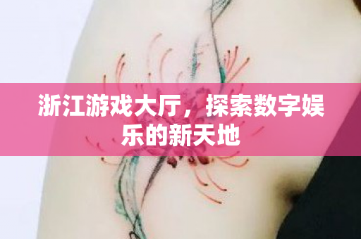 浙江游戏大厅，探索数字娱乐的新天地