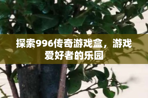 探索996传奇游戏盒,游戏爱好者的乐园 探索996传奇游戏盒,游戏爱好者的乐园