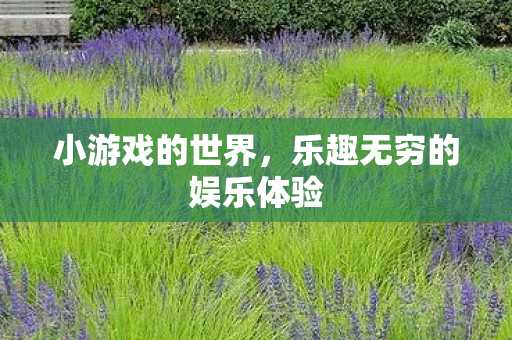 小游戏的世界,乐趣无穷的娱乐体验 小游戏的世界,乐趣无穷的娱乐体验