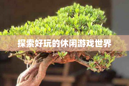 探索好玩的休闲游戏世界 探索好玩的休闲游戏世界