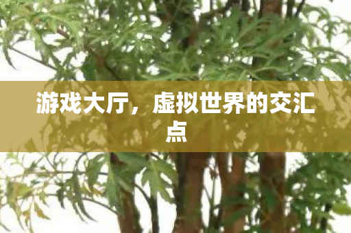 游戏大厅,虚拟世界的交汇点 游戏大厅,虚拟世界的交汇点