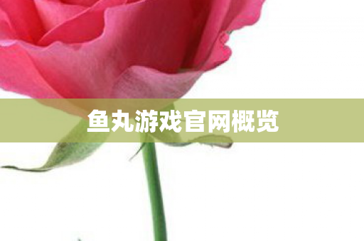 鱼丸游戏官网概览 鱼丸游戏官网概览