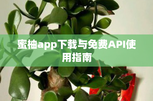 蜜柚app下载与免费API使用指南
