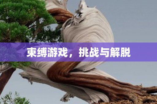 束缚游戏，挑战与解脱