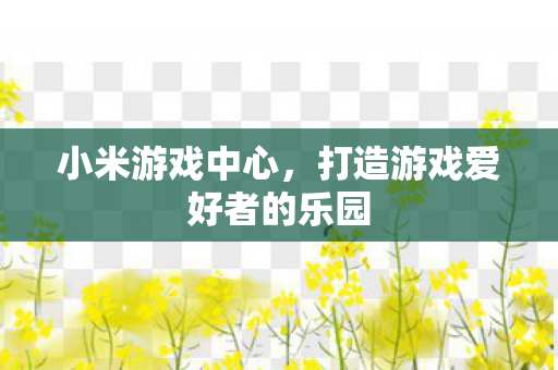 小米游戏中心,打造游戏爱好者的乐园 小米游戏中心,打造游戏爱好者的乐园