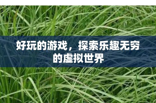 好玩的游戏，探索乐趣无穷的虚拟世界