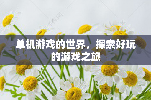 单机游戏的世界，探索好玩的游戏之旅