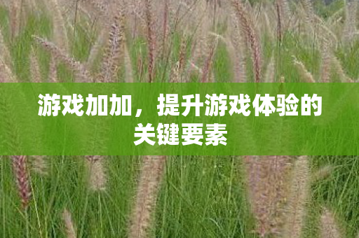 游戏加加,提升游戏体验的关键要素 游戏加加,提升游戏体验的关键要素