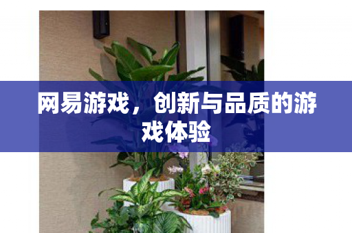 网易游戏，创新与品质的游戏体验