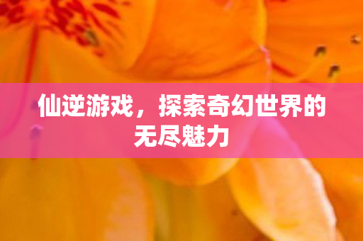 仙逆游戏,探索奇幻世界的无尽魅力 仙逆游戏,探索奇幻世界的无尽魅力
