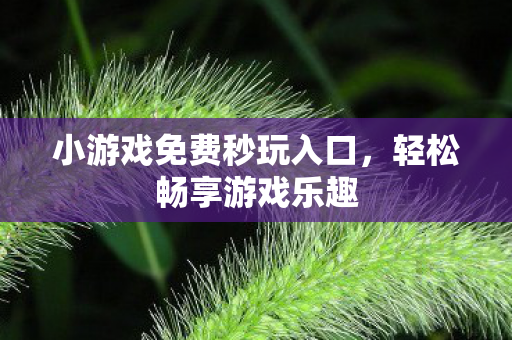 小游戏免费秒玩入口，轻松畅享游戏乐趣