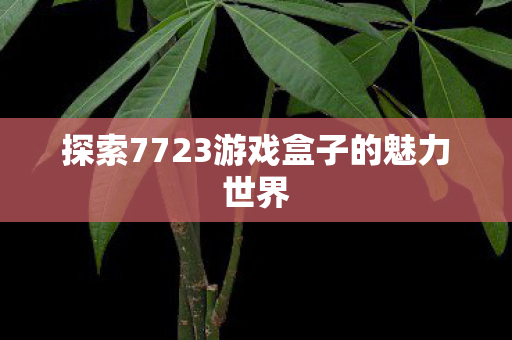 探索7723游戏盒子的魅力世界 探索7723游戏盒子的魅力世界