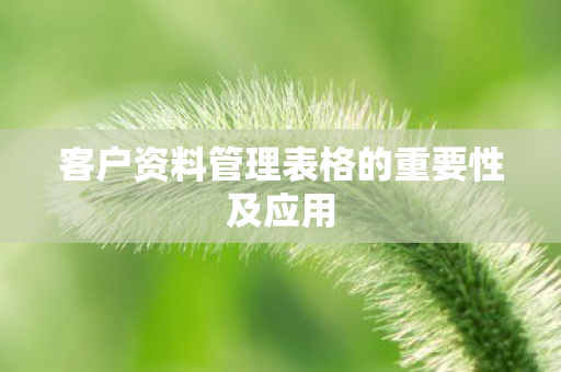 客户资料管理表格的重要性及应用