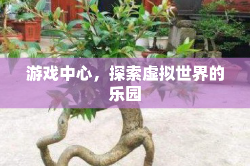 游戏中心，探索虚拟世界的乐园