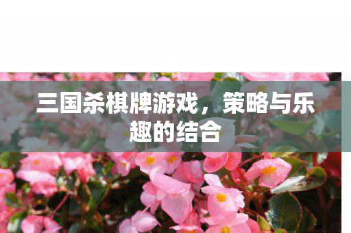 三国杀棋牌游戏，策略与乐趣的结合