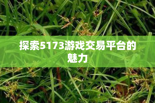 探索5173游戏交易平台的魅力
