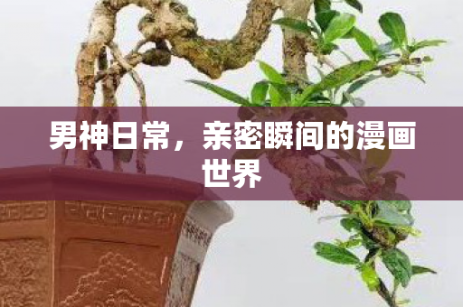 男神日常，亲密瞬间的漫画世界