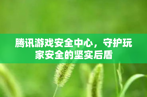 腾讯游戏安全中心，守护玩家安全的坚实后盾