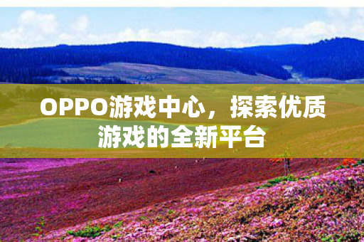 OPPO游戏中心，探索优质游戏的全新平台