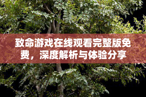 致命游戏在线观看完整版免费，深度解析与体验分享