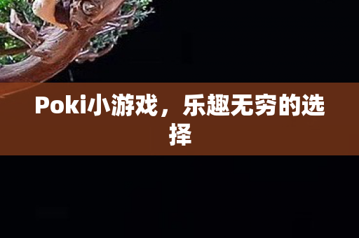 Poki小游戏,乐趣无穷的选择